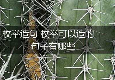 枚举造句 枚举可以造的句子有哪些