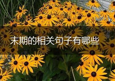 末期的相关句子有哪些