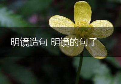 明镜造句 明镜的句子