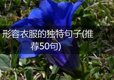 形容衣服的独特句子(推荐50句)