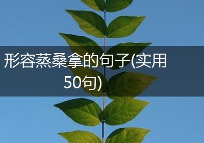形容蒸桑拿的句子(实用50句)