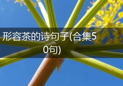 形容茶的诗句子(合集50句)