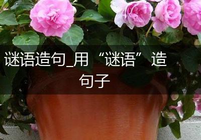 谜语造句_用“谜语”造句子