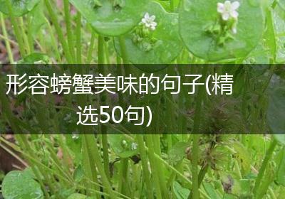 形容螃蟹美味的句子(精选50句)