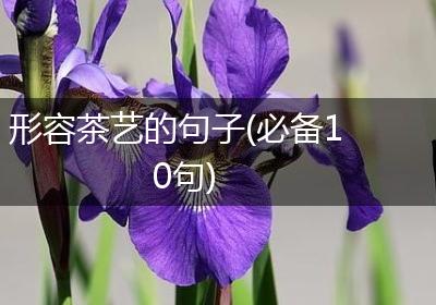 形容茶艺的句子(必备10句)