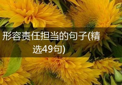 形容责任担当的句子(精选49句)