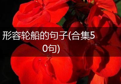 形容轮船的句子(合集50句)