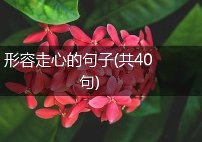 形容走心的句子(共40句)
