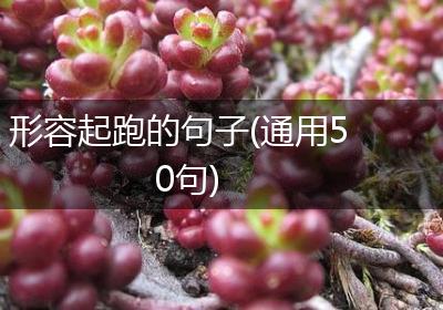 形容起跑的句子(通用50句)
