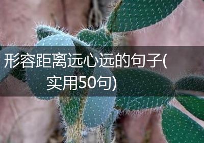 形容距离远心远的句子(实用50句)