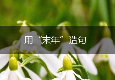 用“末年”造句
