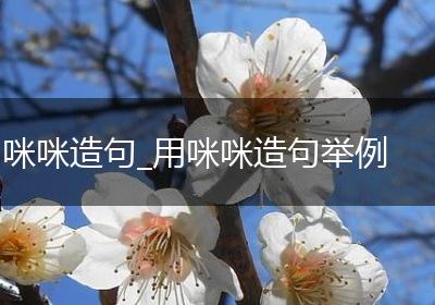 咪咪造句_用咪咪造句举例