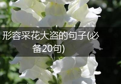 形容采花大盗的句子(必备20句)