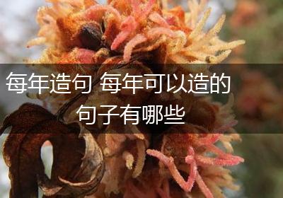 每年造句 每年可以造的句子有哪些