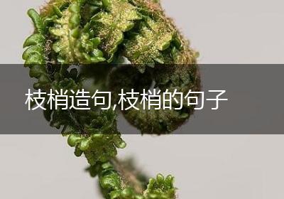 枝梢造句,枝梢的句子
