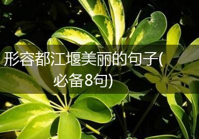 形容都江堰美丽的句子(必备8句)