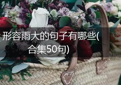 形容雨大的句子有哪些(合集50句)