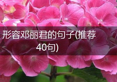 形容邓丽君的句子(推荐40句)