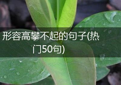 形容高攀不起的句子(热门50句)