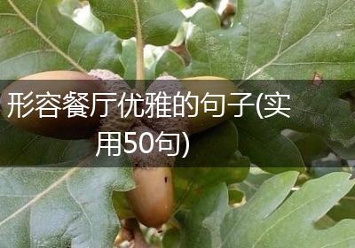 形容餐厅优雅的句子(实用50句)