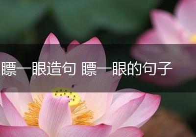 瞟一眼造句 瞟一眼的句子