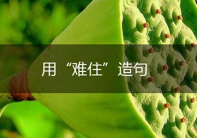 用“难住”造句