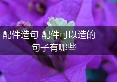 配件造句 配件可以造的句子有哪些