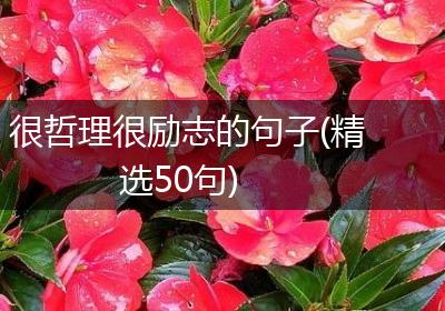很哲理很励志的句子(精选50句)