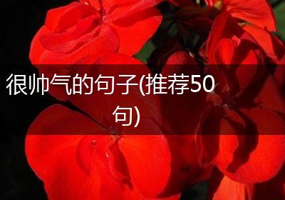 很帅气的句子(推荐50句)