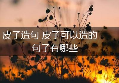 皮子造句 皮子可以造的句子有哪些