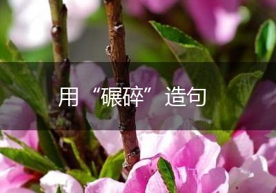 用“碾碎”造句