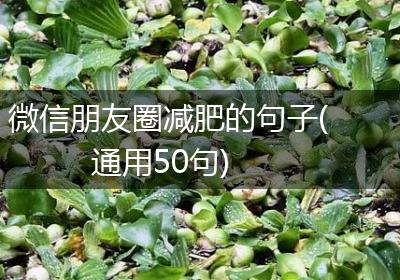 微信朋友圈减肥的句子(通用50句)