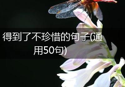 得到了不珍惜的句子(通用50句)