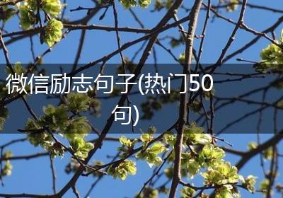 微信励志句子(热门50句)