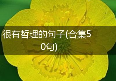 很有哲理的句子(合集50句)
