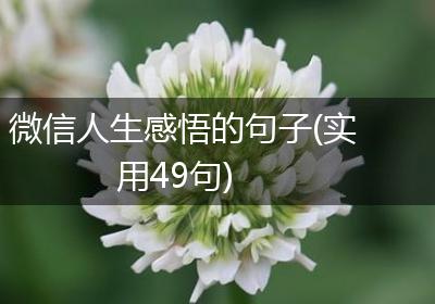微信人生感悟的句子(实用49句)