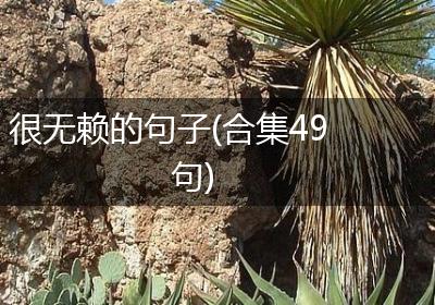 很无赖的句子(合集49句)