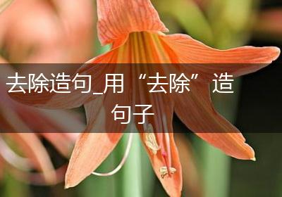 去除造句_用“去除”造句子