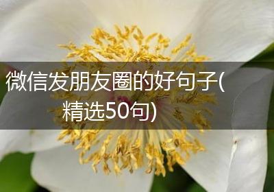 微信发朋友圈的好句子(精选50句)