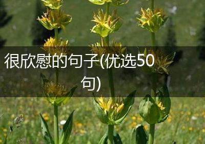 很欣慰的句子(优选50句)