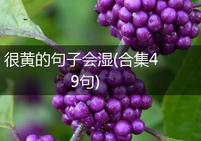 很黄的句子会湿(合集49句)