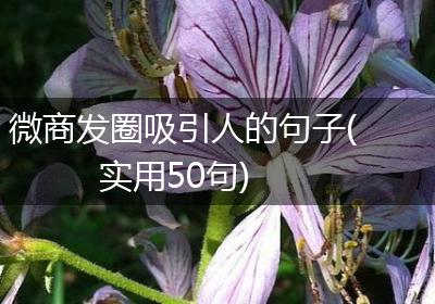 微商发圈吸引人的句子(实用50句)