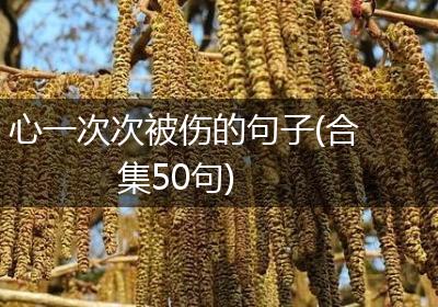 心一次次被伤的句子(合集50句)