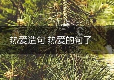 热爱造句 热爱的句子