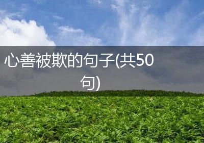 心善被欺的句子(共50句)