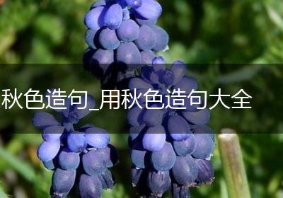 秋色造句_用秋色造句大全
