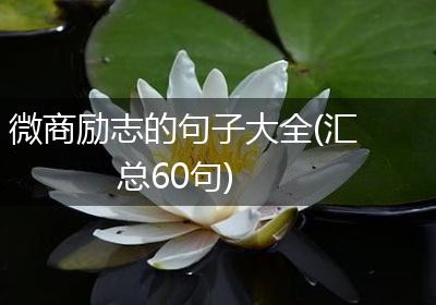微商励志的句子大全(汇总60句)