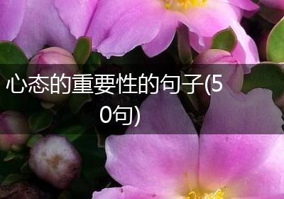 心态的重要性的句子(50句)