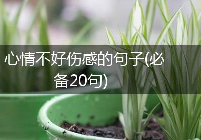 心情不好伤感的句子(必备20句)