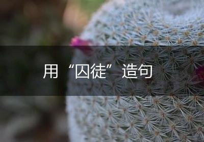 用“囚徒”造句